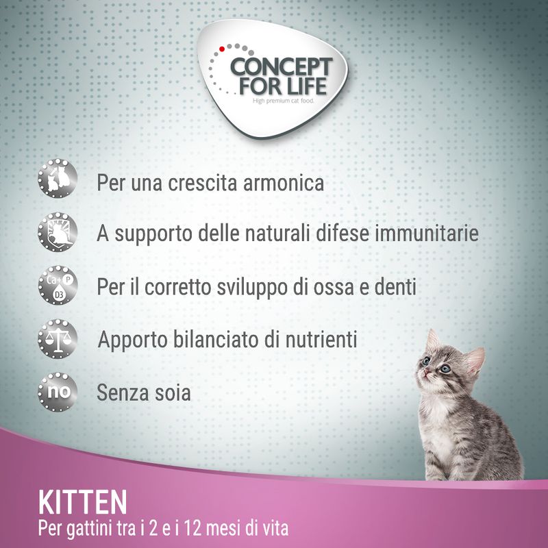 Concept for Life Kitten - in salsa 12 x 85 g