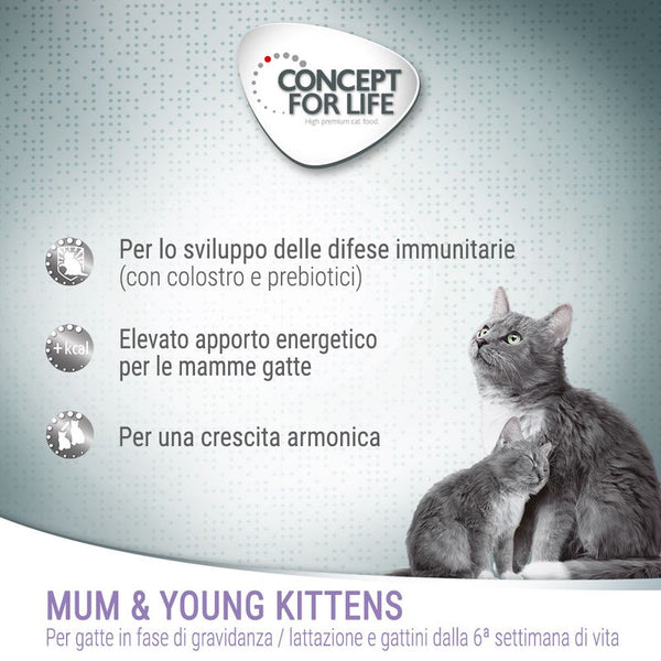 Concept for Life Mum & Young Kittens Mousse Alimento umido per gatti 6 x 200 g