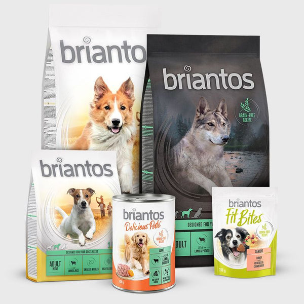 Briantos Biski Mini Snack per cane 500 gr