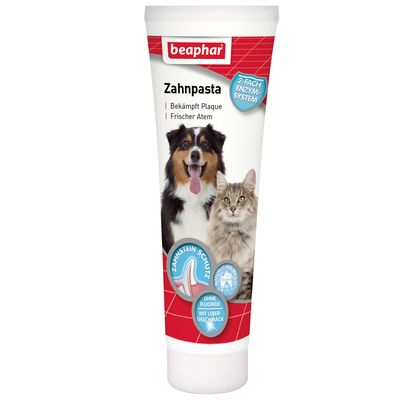 Dentifricio beaphar per cani e gatti 100 gr