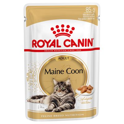 Royal Canin Maine Coon umido in Salsa per gatti