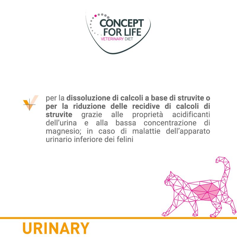 Concept for Life Veterinary Diet Urinary Manzo Buste umido per gatto 12 x 85 g