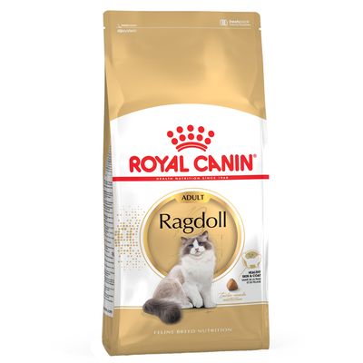 Royal Canin Ragdoll Adult Crocchette per gatto