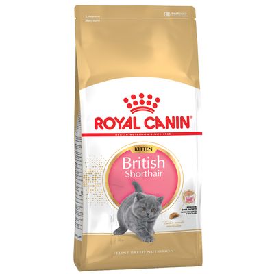 Royal Canin British Shorthair Kitten Crocchette per gatto