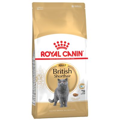 Royal Canin British Shorthair Adult Crocchette per gatto