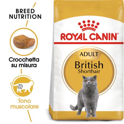 Royal Canin British Shorthair Adult Crocchette per gatto