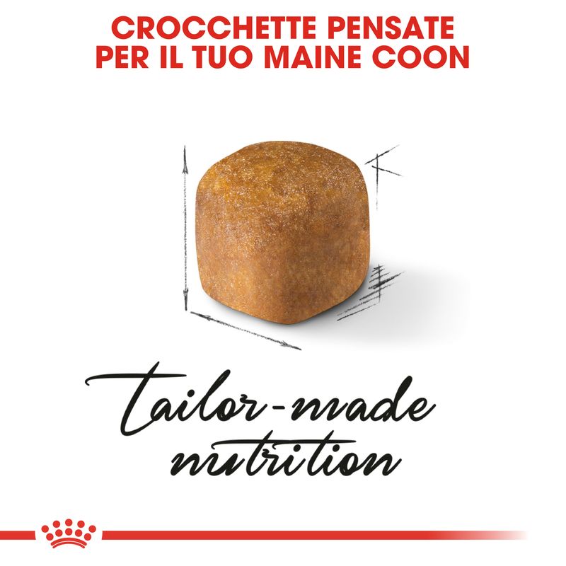 Royal Canin Maine Coon Kitten Crocchette per gatto 4kg