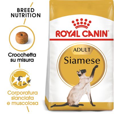 Royal Canin Siamese Adult Crocchette per gatto