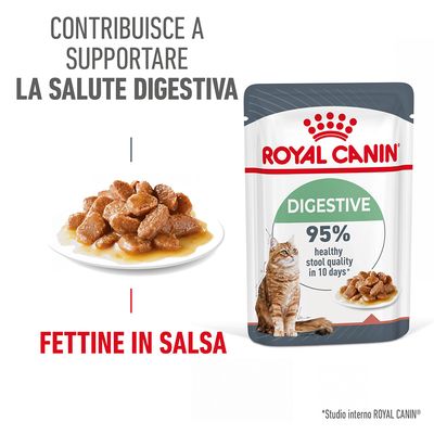 Royal Canin Digest Care umido in Salsa per gatti