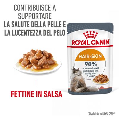 Royal Canin Hair & Skin Care umido in Salsa per gatti